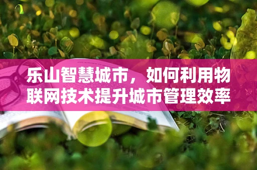 乐山智慧城市，如何利用物联网技术提升城市管理效率？