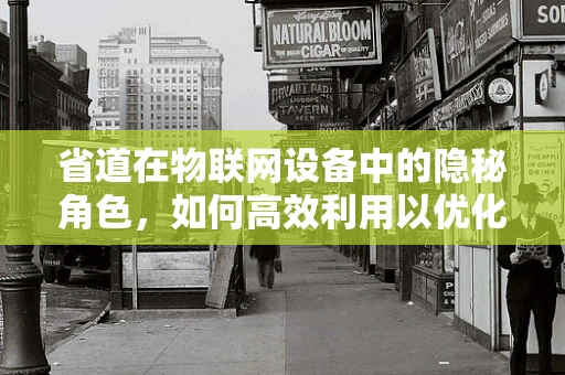 省道在物联网设备中的隐秘角色，如何高效利用以优化网络性能？