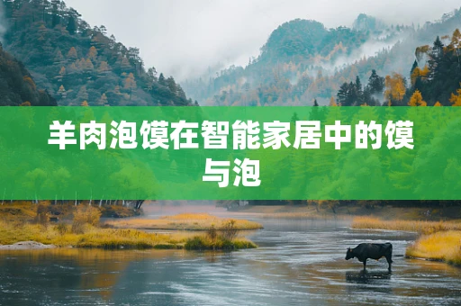 羊肉泡馍在智能家居中的馍与泡