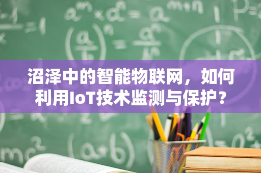 沼泽中的智能物联网，如何利用IoT技术监测与保护？