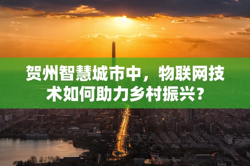 贺州智慧城市中，物联网技术如何助力乡村振兴？