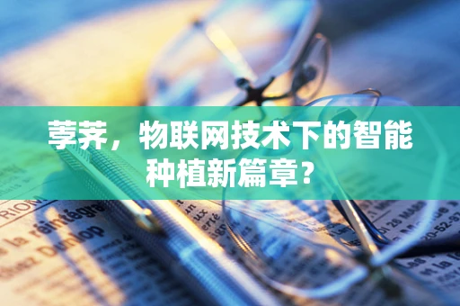 荸荠，物联网技术下的智能种植新篇章？