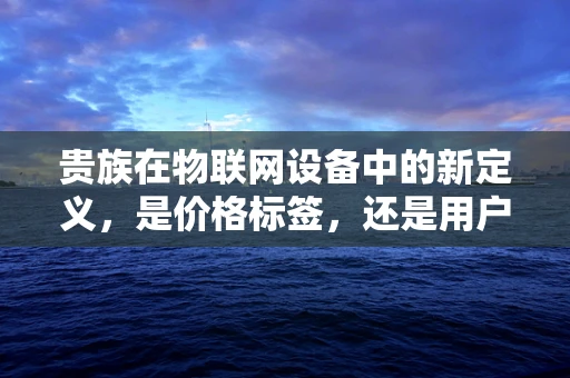 贵族在物联网设备中的新定义，是价格标签，还是用户体验？