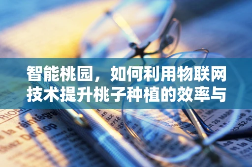 智能桃园，如何利用物联网技术提升桃子种植的效率与品质？