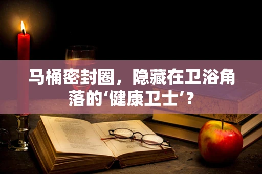 马桶密封圈，隐藏在卫浴角落的‘健康卫士’？