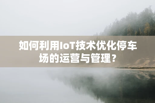 如何利用IoT技术优化停车场的运营与管理？