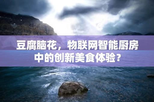 豆腐脑花，物联网智能厨房中的创新美食体验？