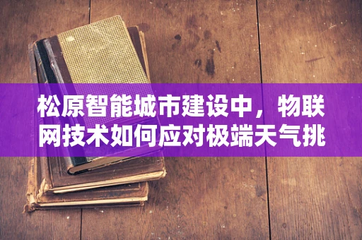 松原智能城市建设中，物联网技术如何应对极端天气挑战？