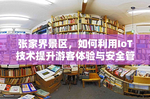 张家界景区，如何利用IoT技术提升游客体验与安全管理？