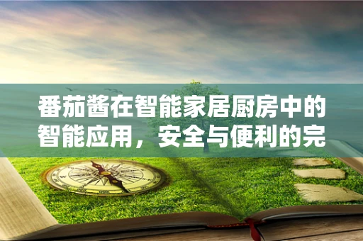 番茄酱在智能家居厨房中的智能应用，安全与便利的完美结合？