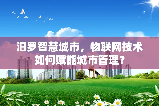 汨罗智慧城市，物联网技术如何赋能城市管理？