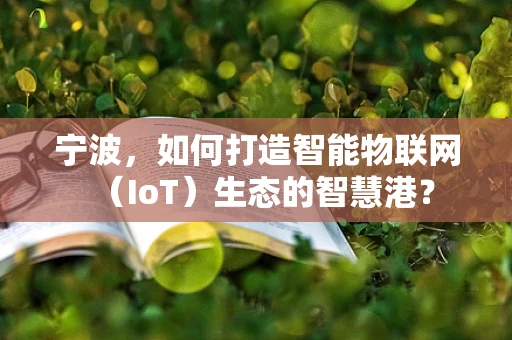 宁波，如何打造智能物联网（IoT）生态的智慧港？