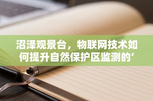 沼泽观景台，物联网技术如何提升自然保护区监测的‘眼观六路’？