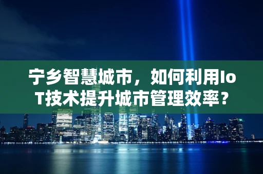 宁乡智慧城市，如何利用IoT技术提升城市管理效率？