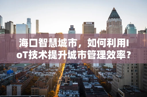 海口智慧城市，如何利用IoT技术提升城市管理效率？