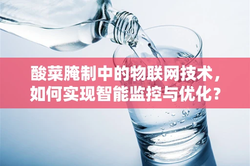 酸菜腌制中的物联网技术，如何实现智能监控与优化？