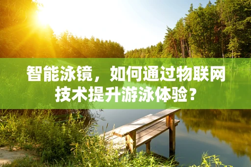 智能泳镜，如何通过物联网技术提升游泳体验？