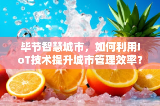 毕节智慧城市，如何利用IoT技术提升城市管理效率？