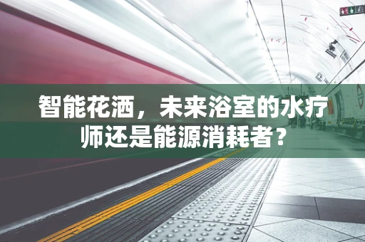 智能花洒，未来浴室的水疗师还是能源消耗者？