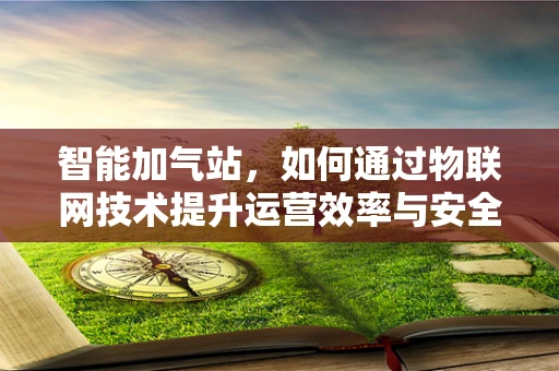 智能加气站，如何通过物联网技术提升运营效率与安全性？