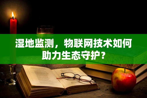 湿地监测，物联网技术如何助力生态守护？