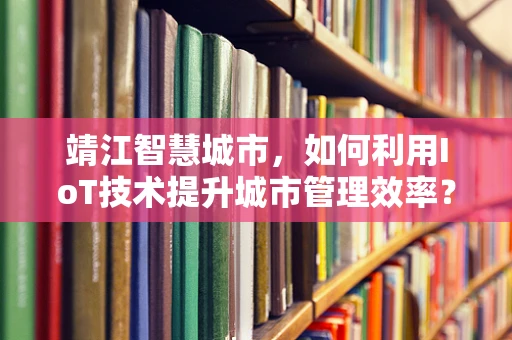 靖江智慧城市，如何利用IoT技术提升城市管理效率？