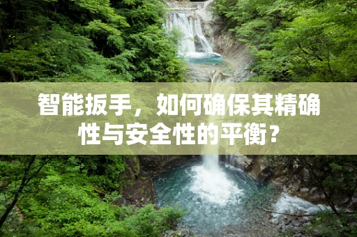 智能扳手，如何确保其精确性与安全性的平衡？