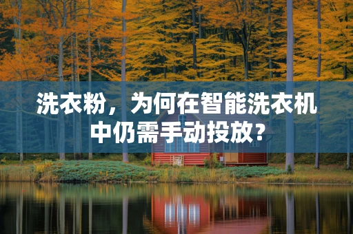 洗衣粉，为何在智能洗衣机中仍需手动投放？