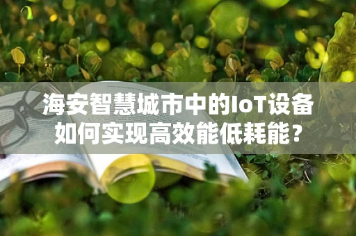 海安智慧城市中的IoT设备如何实现高效能低耗能？