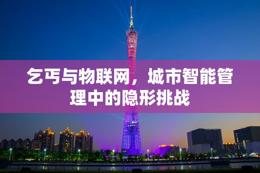 乞丐与物联网，城市智能管理中的隐形挑战