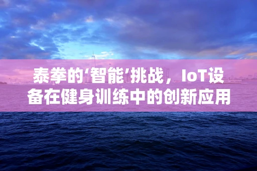 泰拳的‘智能’挑战，IoT设备在健身训练中的创新应用？