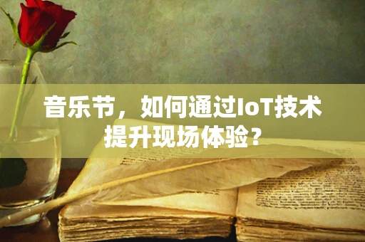 音乐节，如何通过IoT技术提升现场体验？