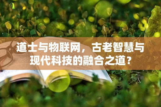 道士与物联网，古老智慧与现代科技的融合之道？