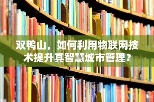 双鸭山，如何利用物联网技术提升其智慧城市管理？