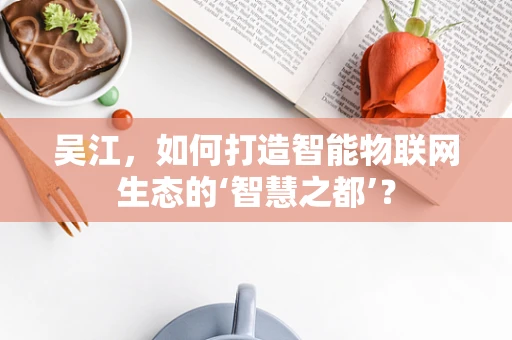 吴江，如何打造智能物联网生态的‘智慧之都’？