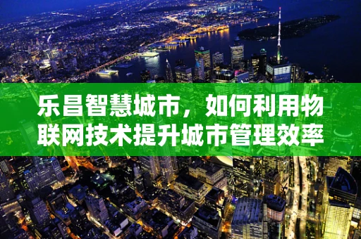 乐昌智慧城市，如何利用物联网技术提升城市管理效率？