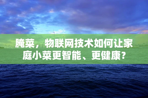 腌菜，物联网技术如何让家庭小菜更智能、更健康？