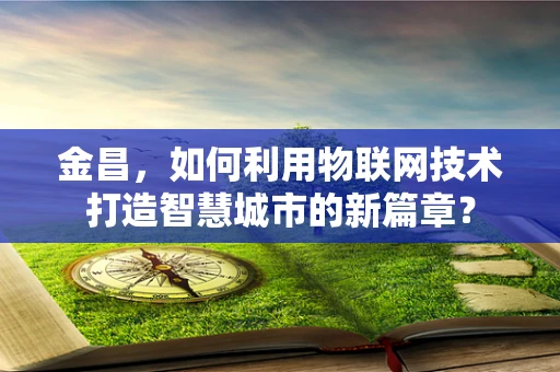 金昌，如何利用物联网技术打造智慧城市的新篇章？