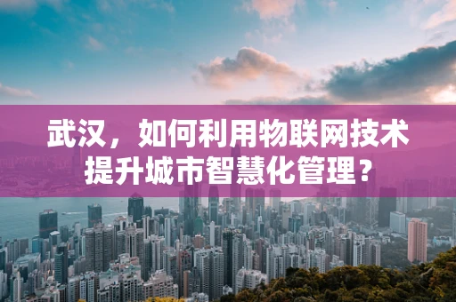 武汉，如何利用物联网技术提升城市智慧化管理？