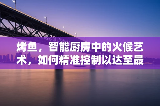 烤鱼，智能厨房中的火候艺术，如何精准控制以达至最佳口感？